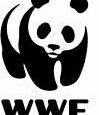 Martedì 13 settembre alle ore 12.oo presso la sezione regionale del WWF Emilia Romagna in via San Felice 99 Bologna, si terrà una conferenza stampa sul tema: I risultati del “Gaser 2011”, il più grande […]