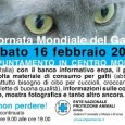 Sabato 16 Febbraio a Monza l'associazione Enpa festeggia i gatti, con la manifestazione "Tutti matti per i gatti". Non mancheranno volantini a distribuzione gratuita. I gazebo saranno allestiti in Via Italia, di fronte alla libreria Feltrinelli, dalle ore 9 alle 19. 