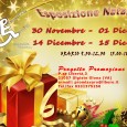 Sabato 14 e Domenica 15 Dicembre 2013, dalle 9.30 alle 12.30 e nel pomeriggio dalle 15 alle 18.30, presso la cooperativa progetto Promozione Lavoro P.zza Libertà 3, Olgiate Olona (Va) si terrà un'esposizione natalizia per tanti regalini di natale.
