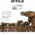 Da sabato 24 ottobre 2015 fino a sabato 7 novembre 2015, la galleria Futuro Anteriore Spazio Tempo (via Speri della Chiesa, 3, Varese) ospiterà la mostra “Wild Africa” del fotografo varesino Sergio Pitamitz, esponente del […]